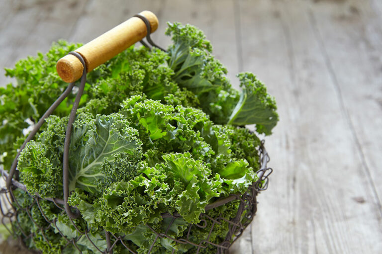 Macular degeneration – Foods to eat and avoid